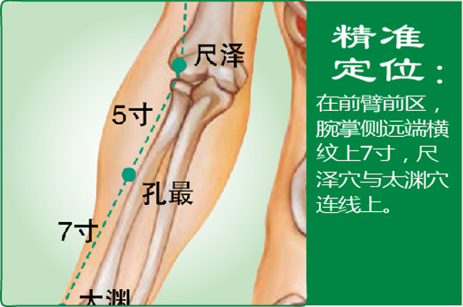 孔最_1.jpg