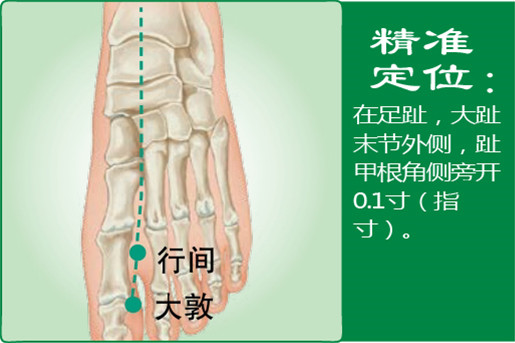 大敦_1.jpg