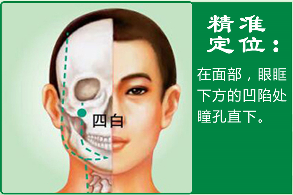 四白_1.jpg