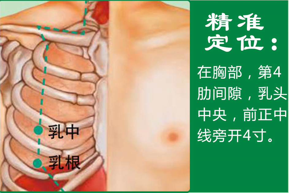 乳中_1.jpg