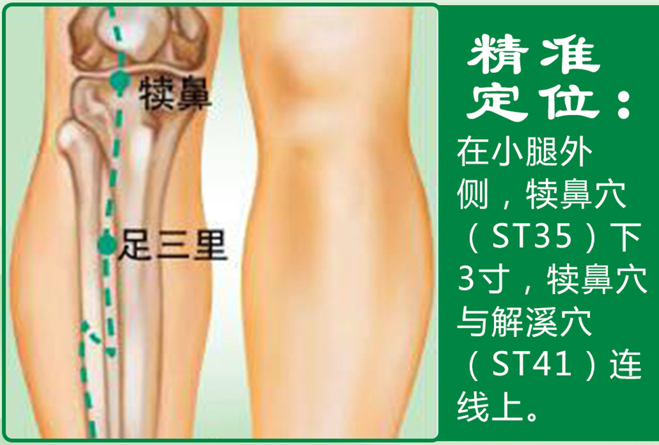 足三里_1.jpg