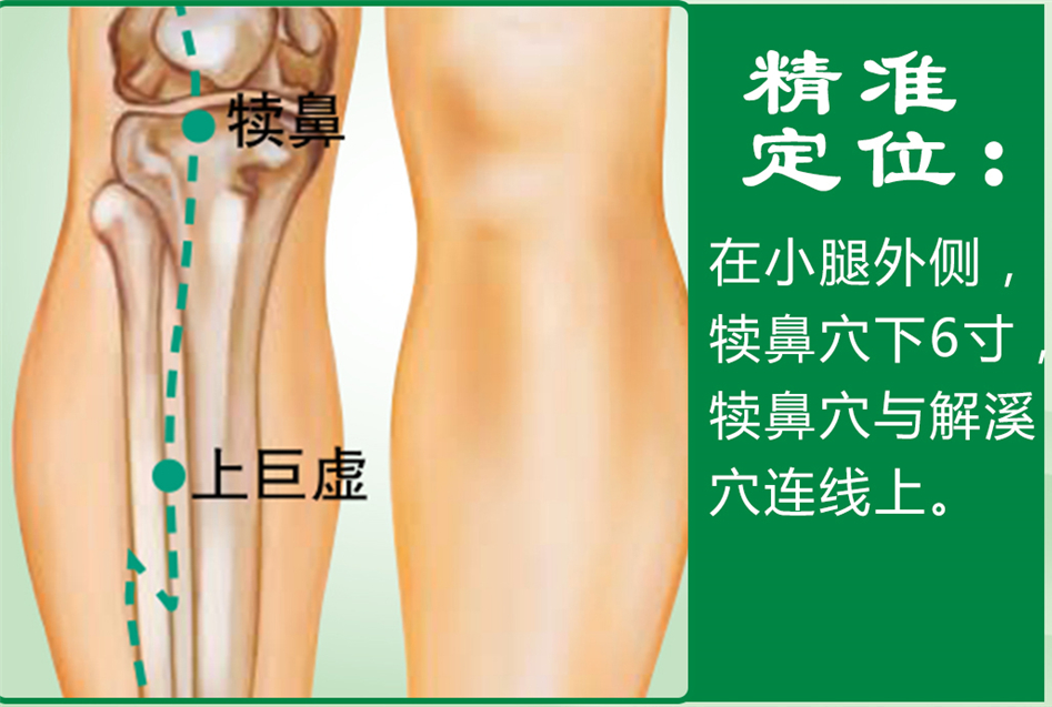 上巨虚_1.jpg
