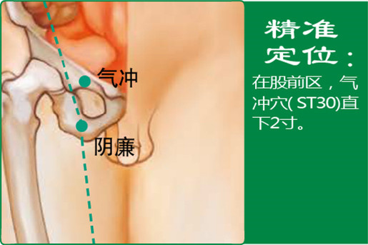 阴廉_1.jpg