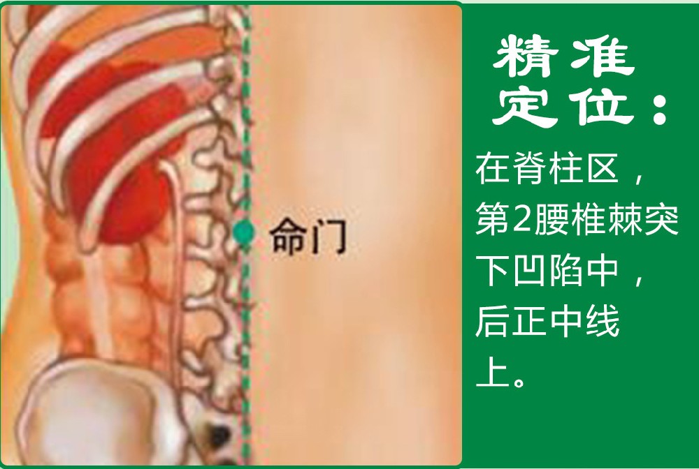 命门_1.jpg