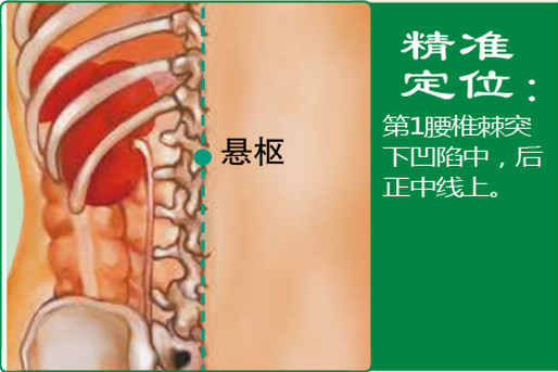 悬枢_1.jpg