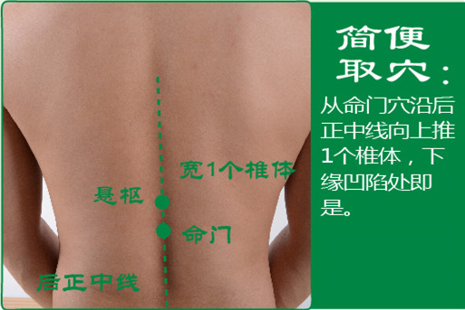 悬枢_2.jpg