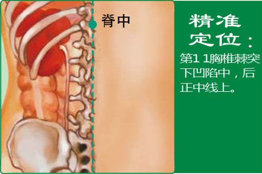 脊中_1.jpg