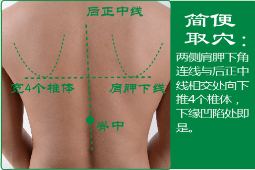脊中_2.jpg