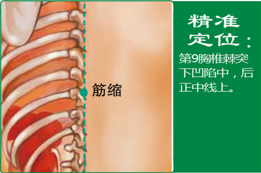 筋缩_1.jpg