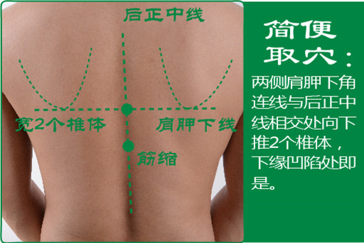 筋缩_2.jpg