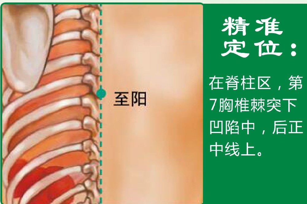 至阳_1.jpg