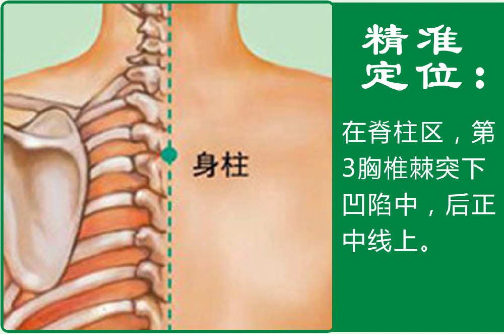 身柱_1.jpg