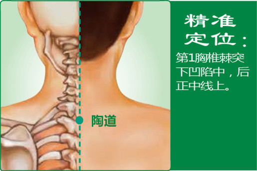 胸道_1.jpg