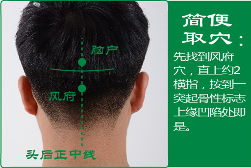 脑户_2.jpg