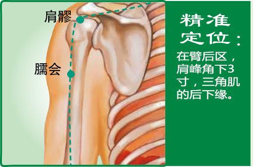 臑会(1).jpg