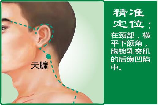 天牖(1).jpg