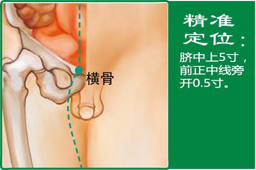 横骨(1).jpg