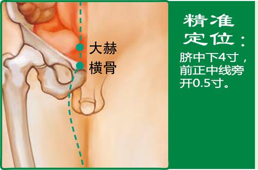 大赫(1).jpg