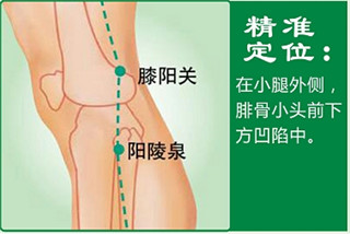 阳陵泉.jpg