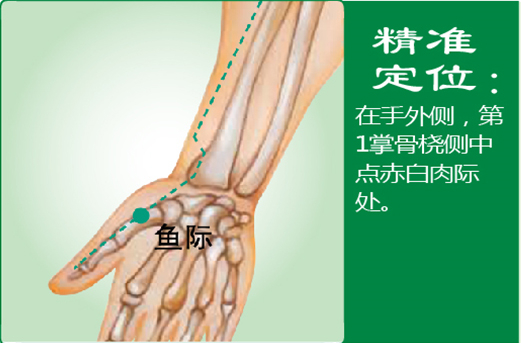 鱼际_1.jpg