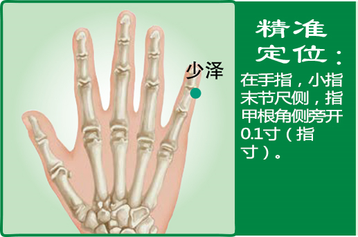 少泽_1.jpg