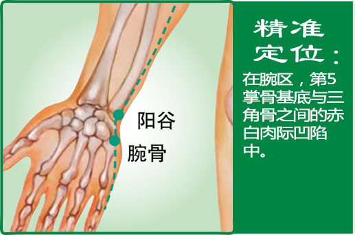 腕骨_1.jpg