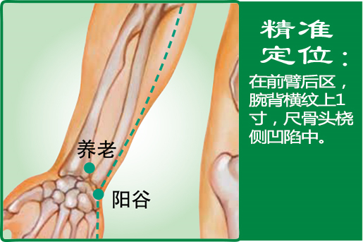 养老_1.jpg