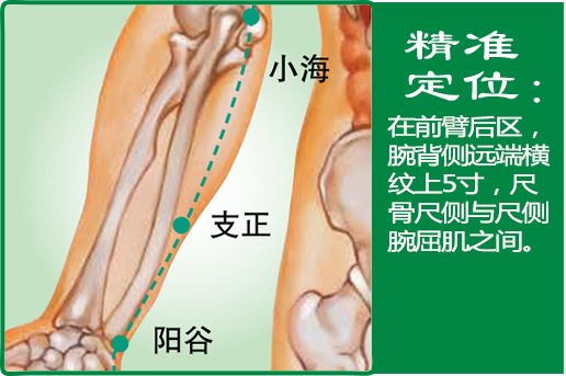 支正_1.jpg