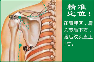 肩贞1.jpg