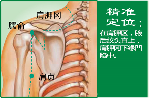 臑俞_1.jpg