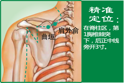 肩外俞_1.jpg