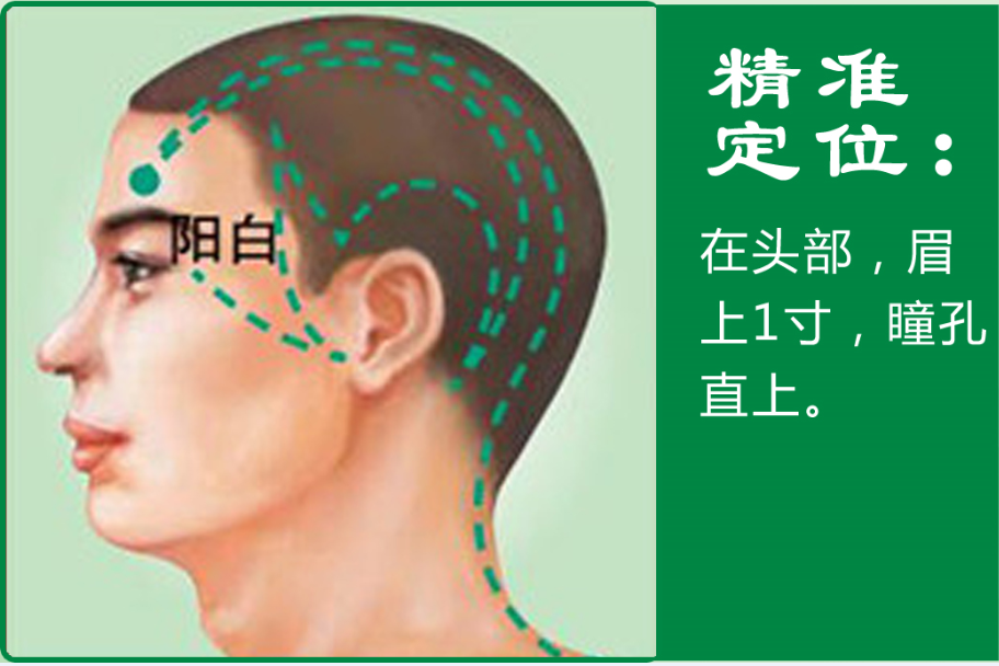 阳白1.png