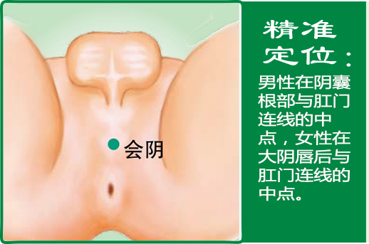 会阴_1.jpg