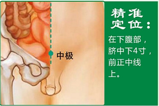 中极1.jpg