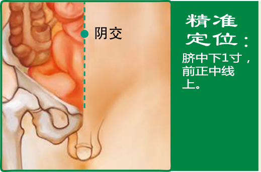 阴交1.jpg