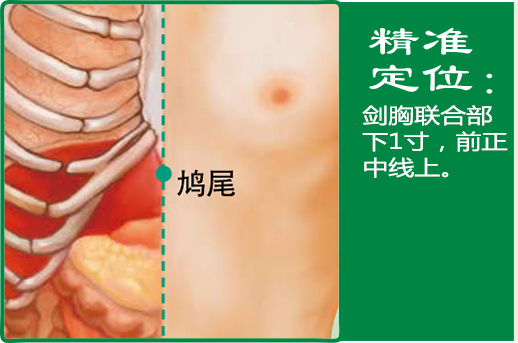 鸠尾1.jpg