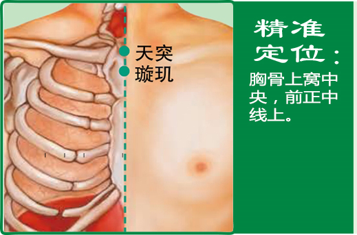 天突1.jpg