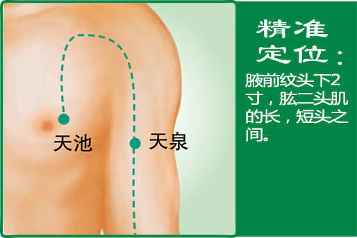 2、天泉.jpg