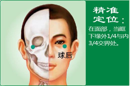 5、球后.jpg