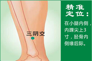 三阴交.jpg