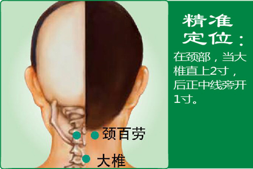 12、颈百劳.jpg
