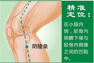 阴陵泉.jpg
