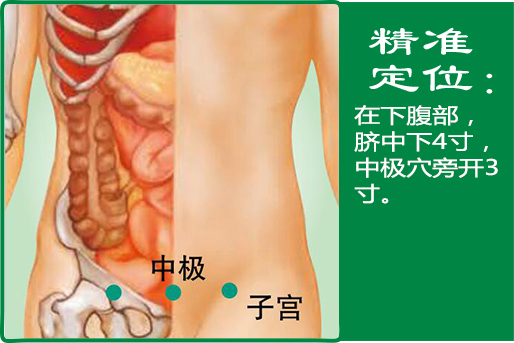 13、子宫.jpg