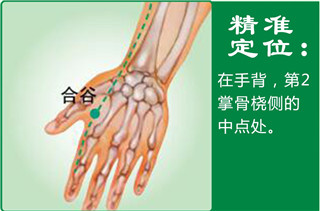 合谷21.jpg