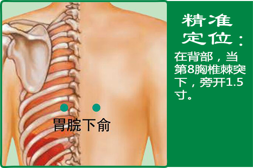 16、胃脘下俞.jpg