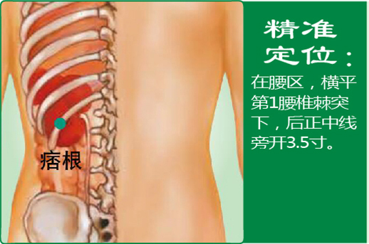 17、痞根.jpg