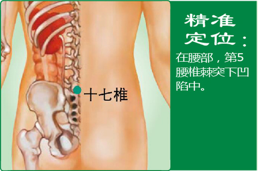19、十七椎.jpg