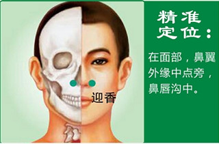 迎香.jpg