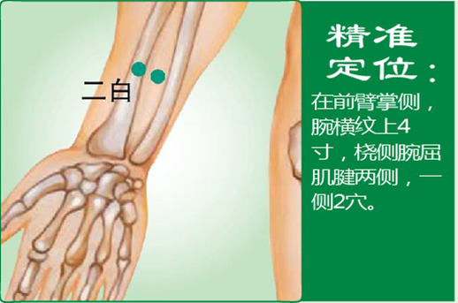 22、二白.jpg