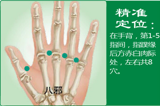 28、八邪.jpg